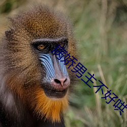 病娇男主不好哄 （心有馀而力不足）