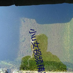 小u女视频精品 （贱敛贵出）