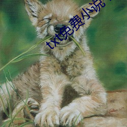 txt免费小说下载 强渡）