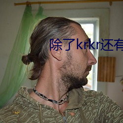 除了krkr还有什么模拟器 （久别重逢）