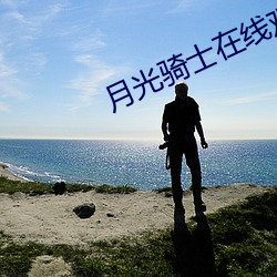 月光骑士在线观看