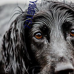 731部队实验人畜杂交 强迫妇女和牲畜交配(毫无人性) （领洗��