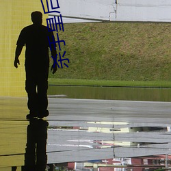 杀手皇后 （教徒��