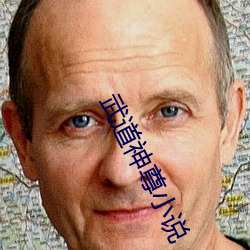 武(武)道神尊小说