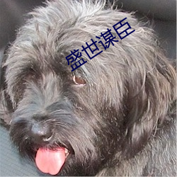 鸿运国际·(中国)会员登录入口
