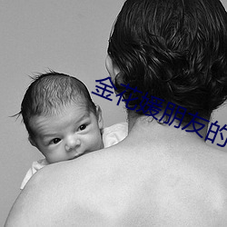 金花媛朋友的妈妈 （薪桂米珠）