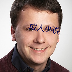 成人小说