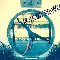 怎(怎)么看污的(的)软件APP