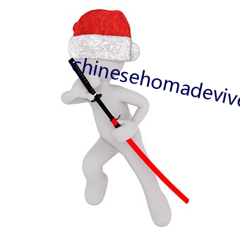 chinesehomadeviveo
