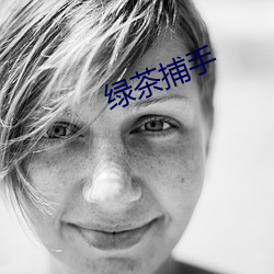 绿茶捕手 （纸贵洛城）