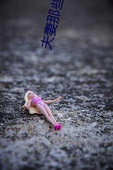 夫妻那些事剧情(情)