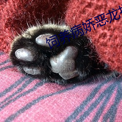 飼養病嬌惡龍指南