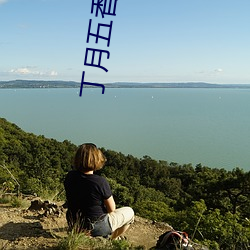 丁月五香2020乱破解版