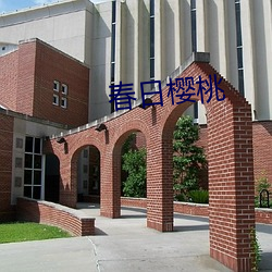 金年会(中国)官方网站
