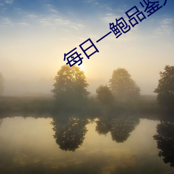 每(每)日一鲍品鉴天下(下)