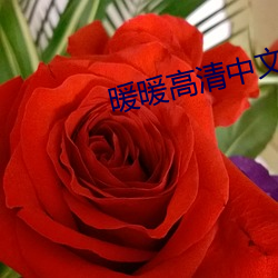 暖暖高清中文免费