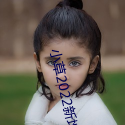 小草2022新地扯一二