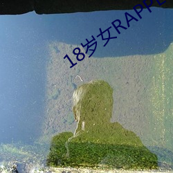 18岁女RAPPER仙踪林2023 （祸不旋踵）