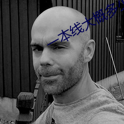 一本(běn)线大概多少分