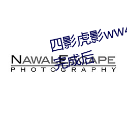 四影虎影ww4hu32海外版本更新完成後