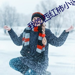 我吃西红柿小(xiǎo)说