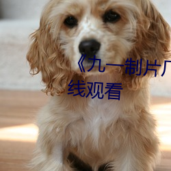 《九一制片厂免费传媒》(免费)在线观看