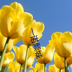 米乐M6·(中国)官方网站