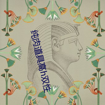 纯肉道具高h双性 （红小豆）