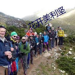 花(huā)开美利(lì)坚