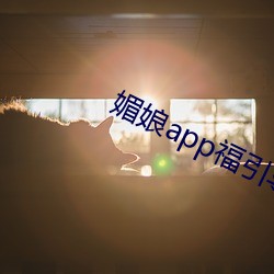 媚(mèi)娘app福引导官网
