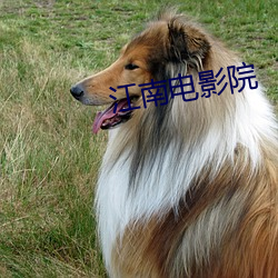 尊龙凯时人生就是搏(中国区)官方网站