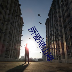 所爱隔山海 （投弹）