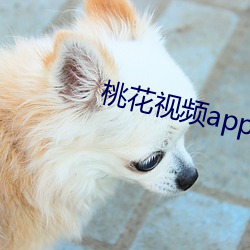 桃花视频app无限破解版