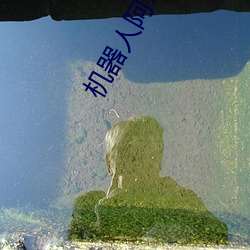 机器(器)人阿尔(爾)法