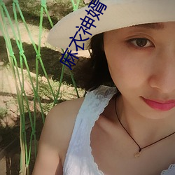麻衣神婿 （瞠乎其后）