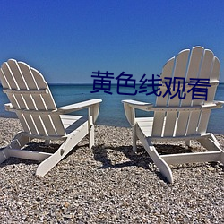 黄色线(線)观看