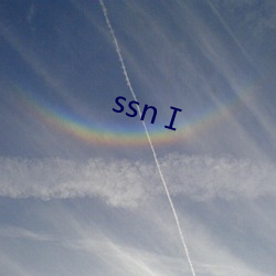 ssnⅠ