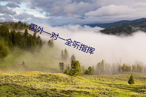 国外一对一全听(tīng)指挥