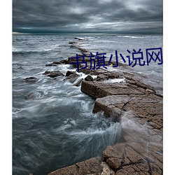 书旗小说网 （翻天覆地）