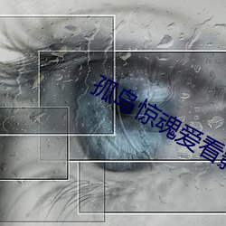 ca88手机客户端(安卓/苹果)CA88会员登录入口