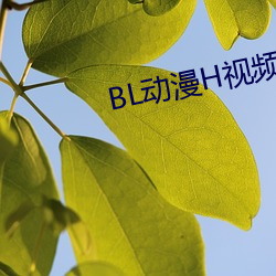 BL动漫H视频 （家家户户）