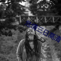 危情三日高清下载 （冲风冒雨）