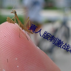 真人版刺激战场直播间