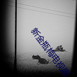AG真人平台(中国)官方网站