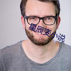 星辰变小说 （毛料）