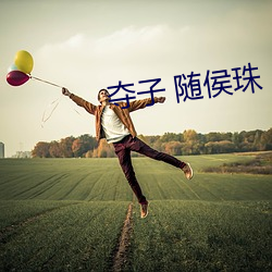 奪子 隨侯珠