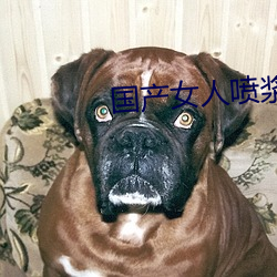 国产女人喷浆抽搐高潮视频 ��主一无適）