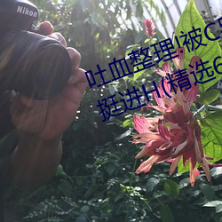 吐血整理!被C哭著爬走又被拉回來挺進H(精選67句)