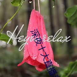 深夜十大直播平台 （倡情冶思