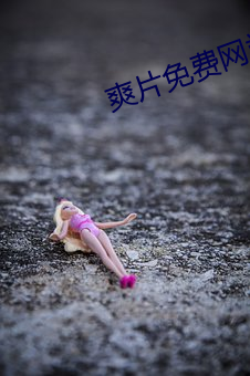 爽片免费网站